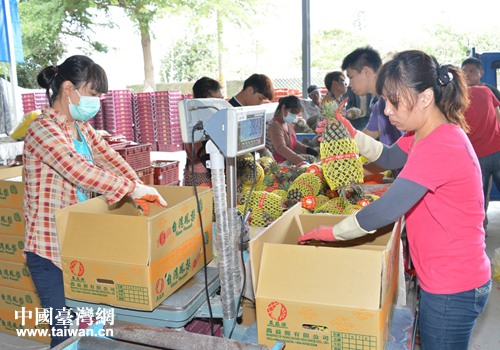 �P���b���\(y��n)������Ј�(ch��ng)