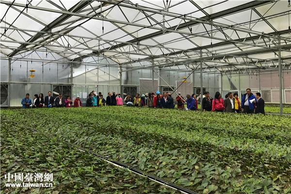 ���^���������������Ї��_���W �w���� �z��