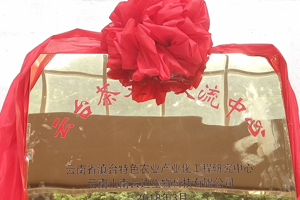 ���_���Ļ����������������r�I��W���_���Ē��Ƴ���