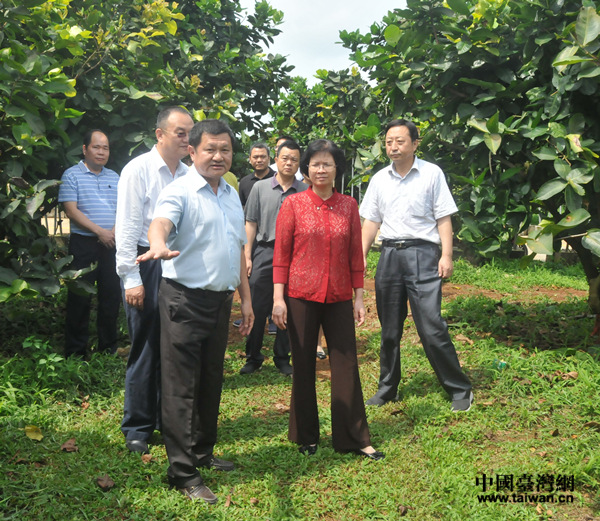 苻彩香副省長聽取金德豐負責(zé)人、臺商黃益豐情況介紹 苻彩香副省長聽取金德豐負責(zé)人、臺商黃益豐情況介紹