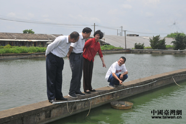 苻彩香副省長在宏福觀賞魚養(yǎng)殖場調(diào)研 苻彩香副省長在宏福觀賞魚養(yǎng)殖場調(diào)研