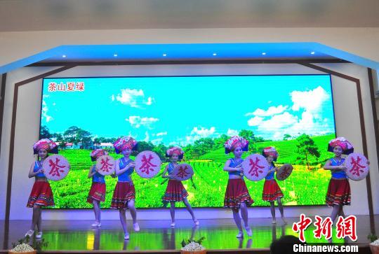 圖為桂臺茶產業發展交流會表演現場。 易佳穎 攝