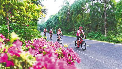 冬游海南,你可以這樣打開