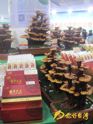 ��������չ���ĺ����خa