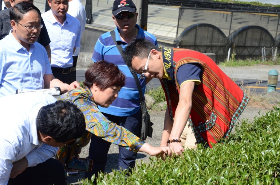 ���Ͽh�F(xi��n)���r(n��ng)�I(y��)�c�l(xi��ng)�����ο���F���_����ɹ��S�T