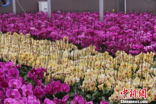 ̽�L�F��ɽ��ġ��_(t��i)���塱