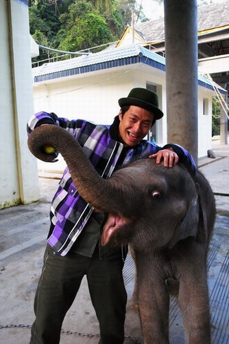 �_�������ҕ�_�����p��{���Ĕz��Ŀ