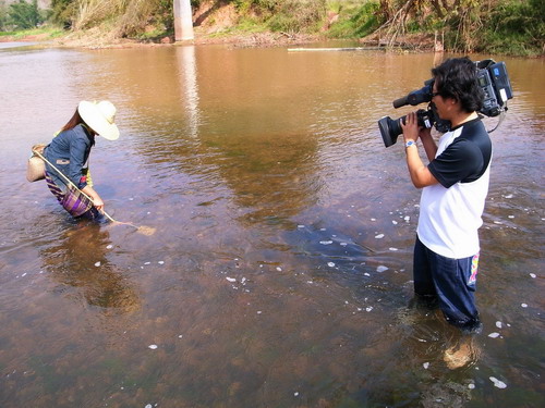 �_�������ҕ�_�����p��{���Ĕz��Ŀ