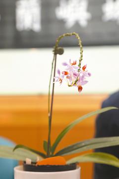 �_���ɹ���W(xu��)�ƽ��m�������g�a ϵȫ������