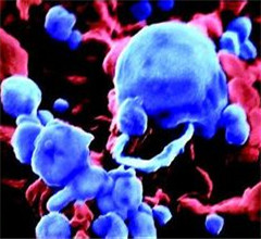 �_(t��i)���Ĳݝ���ں��B�S���Йz�������в���