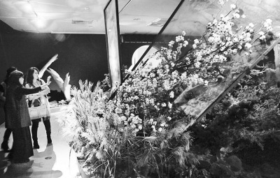 �D���_�����������ˡ��廨ˇ�g(sh��)չ