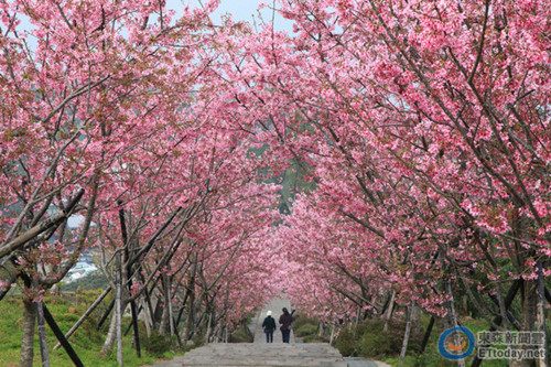 ��Ͷ��Ȫ���ܼ����Aļ���ۂH�ؾ����M�Ļ鼆��