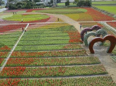 �_�|���νY�ϷN�� �����ο��w�