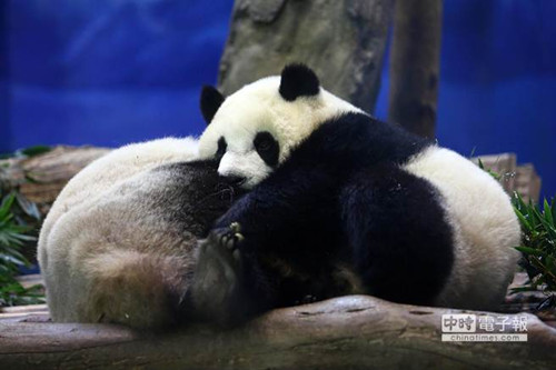 �_(t��i)��������`�` ����؈���A�С�������ȡů