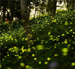 �_�����@���조Ξ���x��Ϣ�ء� �[�Ѕ^(q��)�cΞ����