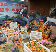 ·����؛܇��(c��)��؛���ۃr�u�f��ɰ����