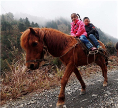 �DƬ���£��V�����������������؃�ͯ�T�R�όW