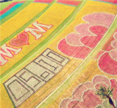 ��¡�Ą��@��ӭ��ĸ�H�� 12�f֧�L܇ƴ�ɾ޷�����ܰ