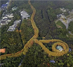 �Ͼ����g�m�F(xi��n)�������(xi��ng)朡����^(gu��n)