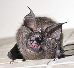 �_������@ӭ��������