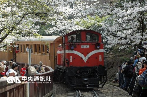 �_(t��i)������ɽɭ���F·20����״Νq�r(ji��)����q1��