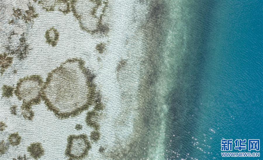 �����Aҕ�磩��1�������������