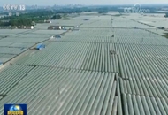 �҇�(gu��)��Ҫ�r(n��ng)�a(ch��n)Ʒ�O(ji��n)�y(c��)�ϸ��ʄ�(chu��ng)�vʷ�¸�