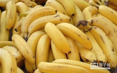 �㽶���u�r�������ۃr�� �W���|���������l�����{��