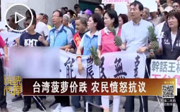 臺灣菠蘿價跌 農民憤怒抗議
