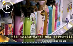 �_���֣�2025���Ƅ�֧�����_�ռ� �_�W�ѣ����M�h���_���^֧Ʊ