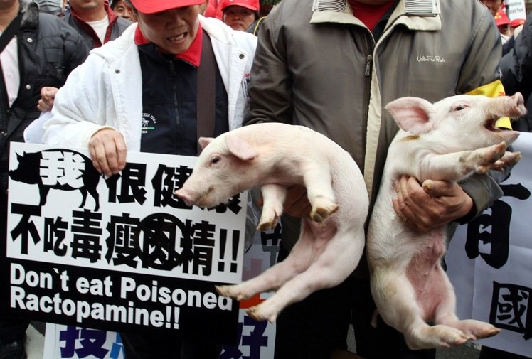 ���M�h���������p�_���F ��Ӣ�ĺ�Ԯ������