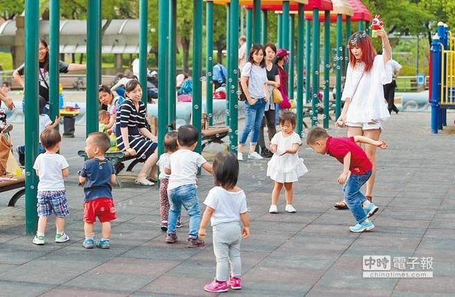 臺官員擬上網搜"年輕人為何不生" 遭諷:有些事是常識 臺官員擬上網搜"年輕人為何不生" 遭諷:有些事是常識