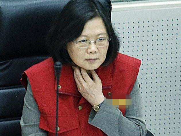 蔡英文遇到抗議立馬躲遭諷:未來3年就把自己關起來 蔡英文遇到抗議立馬躲遭諷:未來3年就把自己關起來