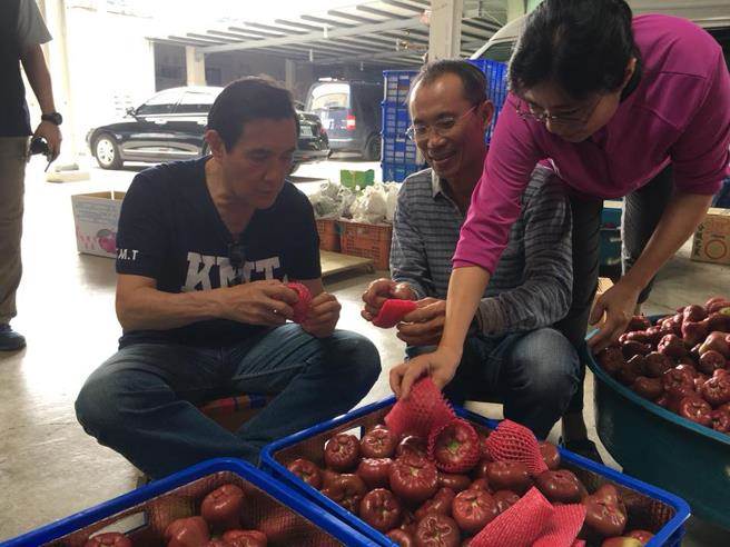 �RӢ�����λ�ɏ �W���ڴ����c�����ࡰ���w��