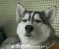 �_��ˇ�˸�ꑡ��Խ𡱲����r ���uӰҕ�������뷲�g��