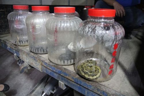 ������д������������ǐ��������D��