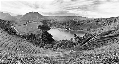 �_(t��i)��ɼ��Ϫ��@�L(f��ng)��