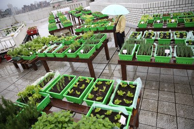 �_���ơ���@���С�������픷N�˼��≺��