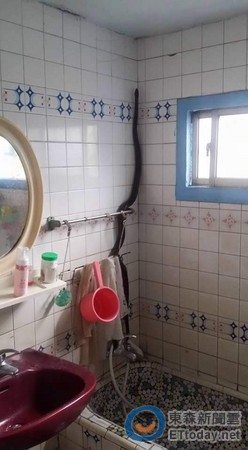 �@ֻ�ߌ����Ǵ�׌�����˶������ˡ����D���W���˹����ṩ��