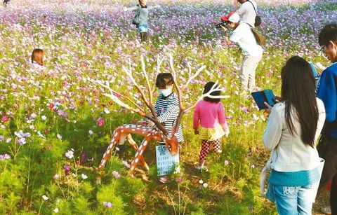 �L�i¹�����������±��ο����ġ��L�̡��Ա����D��