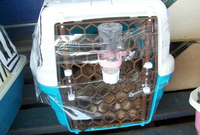 �����ˆT���z���̶�ˮƿ����(d��o)�¹��\ͨ�L(f��ng)���Ӑ��������DƬ��Դ���_�����Еr��ӈ󡷣�