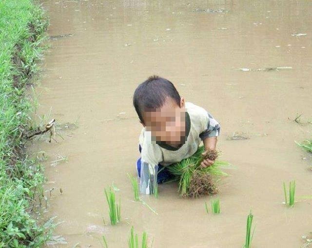 �W�����Վ�æ�r�±���Ц �W�����Z�l���ώ�