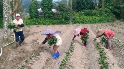 �r(n��ng)��@�������꣬Ӱ���ɽ�عϴ���ʣ�������ֻ���a(b��)ֲ���_����(li��n)�ψ�(b��o)��ӛ�ߺ��������zӰ