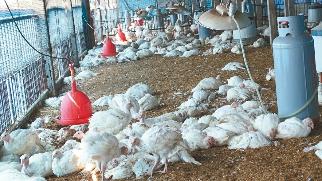 �_������������U(ku��)�� ��ɏ��ֻ���_�ϻ��u���S�ݡ�