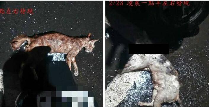 �_����¡�F׃�B��؈�ֿͣ�Ұ؈���������ƺ퇵