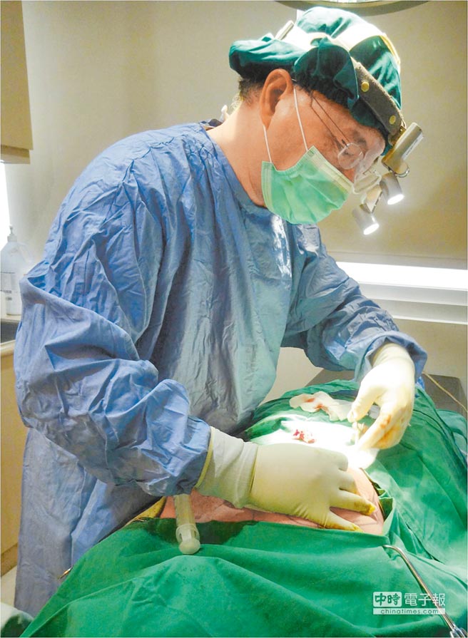 臺中70歲老婦砸18萬隆胸:不想再被笑老奶脯(圖) 臺中70歲老婦砸18萬隆胸:不想再被笑老奶脯(圖)