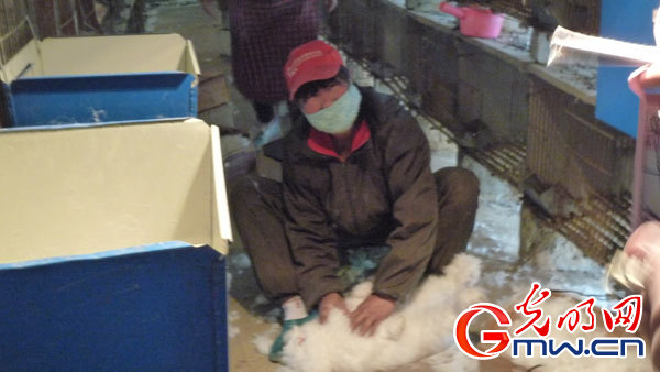 【網(wǎng)絡(luò)媒體走轉(zhuǎn)改】淶水縣精準(zhǔn)扶貧甩掉“窮帽子”