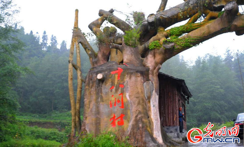 ���W�jý�w���D�ġ����ʷ�ؚЧ���� Óؚ���¡����M�I��