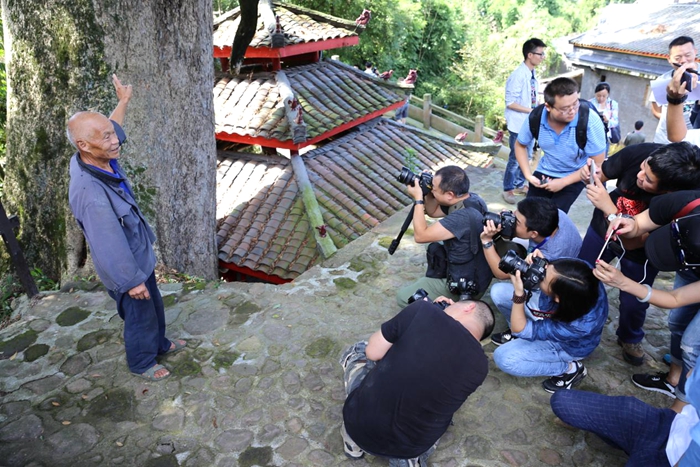 ���W(w��ng)�j(lu��)ý�w�����D(zhu��n)�ġ��������L��· ԭ���ゃ���@�ӵľW(w��ng)ýӛ�ߣ�