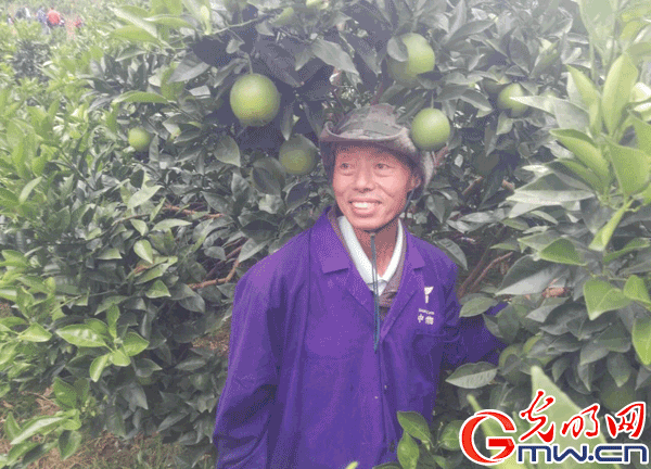 ���W�jý�w���D�ġ��ؑc��ꖣ��tɫ�����ϵľGɫ�lչ